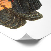 Poster Paire de Cockatoo Noir brillant (Coin)