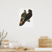 Poster Paire de Cockatoo Noir brillant (Cuisine)