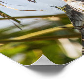 Poster Paire de cocktails (Coin)