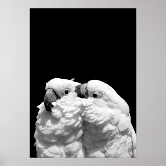 Poster Paire de cocktails parapluies (Devant)