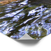 Poster Paire de colverts matés (Coin)