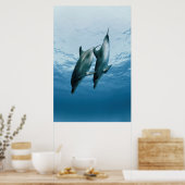 Poster Paire de dauphins (Cuisine)
