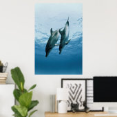 Poster Paire de dauphins (Bureau à domicile)