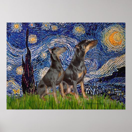 Poster Paire de doberman - Nuit étoilée (Devant)