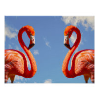 paire de flamants des Caraïbes