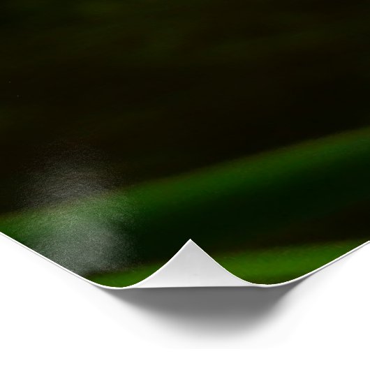 Poster Paire de fleurs de Lotus II (Coin)