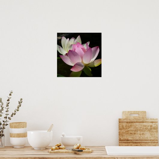 Poster Paire de fleurs de Lotus II (Cuisine)