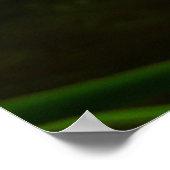 Poster Paire de fleurs de lotus II (Coin)