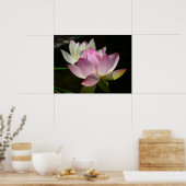 Poster Paire de fleurs de lotus II (Cuisine)