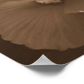 Poster Paire de fleurs de Sepia Hibiscus (Coin)