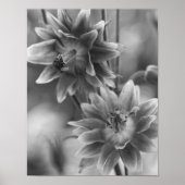 Poster Paire De Fleurs En Noir Et Blanc (Devant)