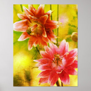 Poster Paire de fleurs rouges et blanches, art en détress