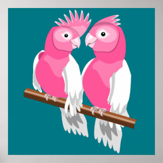 Poster Paire de Galahs