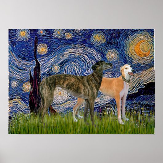 Poster Paire de Greyhound - Nuit étoilée (Devant)