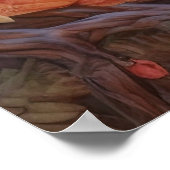 Poster Paire de koalas (Coin)