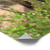 Poster Paire de l'affiche de Hyenas (Coin)