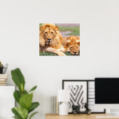 Poster Paire de lions africains, Panthera leo, Tanzanie (Bureau à domicile)