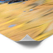 Poster Paire de Mallards (Coin)