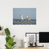 Poster Paire de mouettes (Bureau à domicile)