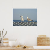 Poster Paire de mouettes (Cuisine)