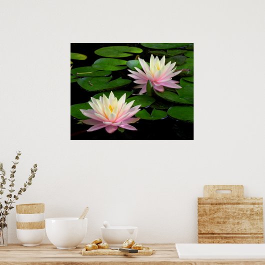 Poster Paire de nénuphars (Cuisine)