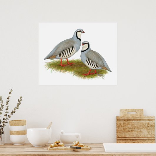 Poster Paire de perdrix de Chukar (Cuisine)