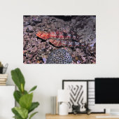 Poster Paire de poisson-Lézard II (Bureau à domicile)