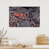 Poster Paire de poisson-Lézard II (Cuisine)