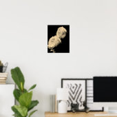 Poster Paire de roses teintées de sépia (Bureau à domicile)