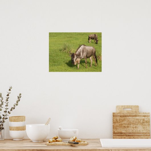 Poster Paire de saumons (Cuisine)