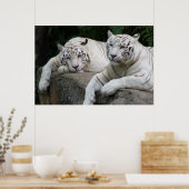 Poster Paire de tigre (Cuisine)