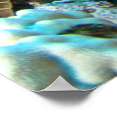 Poster Paire de tortue (Coin)