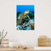 Poster Paire de tortue (Cuisine)