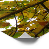 Poster Paire d'érables jaunes Nature d'automne (Coin)