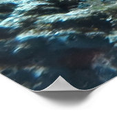 Poster Paire des Reines (Coin)