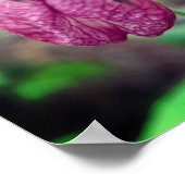 Poster Paire Fleur d'orchidée rose sauvage 2 (Coin)