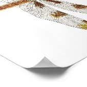 Poster Paire jumelée de 12 libellules de l'écumeur tachet (Coin)