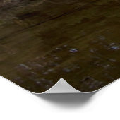 Poster Paisaje (Coin)