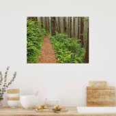 Poster Paisible Forest Trail (Cuisine)