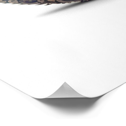 Poster Paisley (Coin)