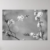 POSTER PAIX (Devant)