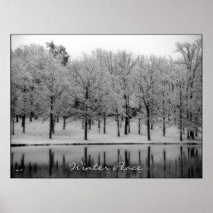 Poster Paix hivernale