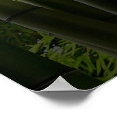 Poster Paix intérieure (Coin)