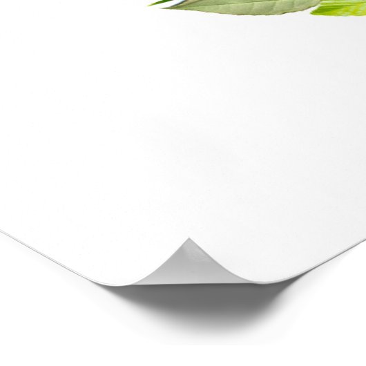 Poster Paix sur papier (Coin)