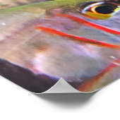 Poster Pajama cardinalfish (Coin)