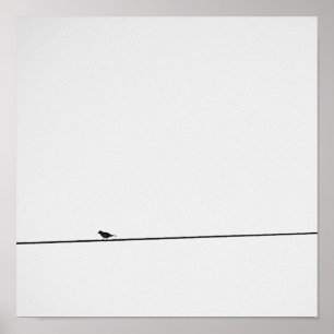 Poster Pájaro posado en blanco y negro