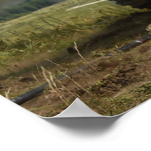 Poster Paladin M109A6 (Coin)