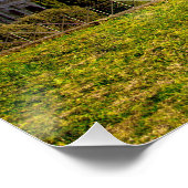 Poster Palais des Sports du Colisée Romain (Coin)