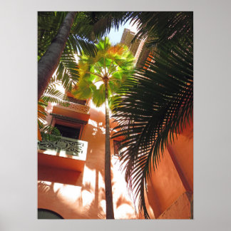 Poster Palais rose