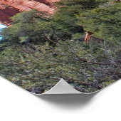 Poster Palatki Red Rocks 3288 (Coin)